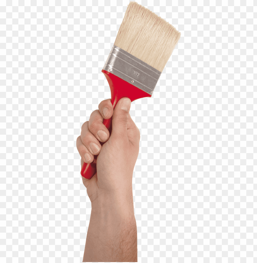 Hand holding a paintbrush with a red handle and bristles PNG