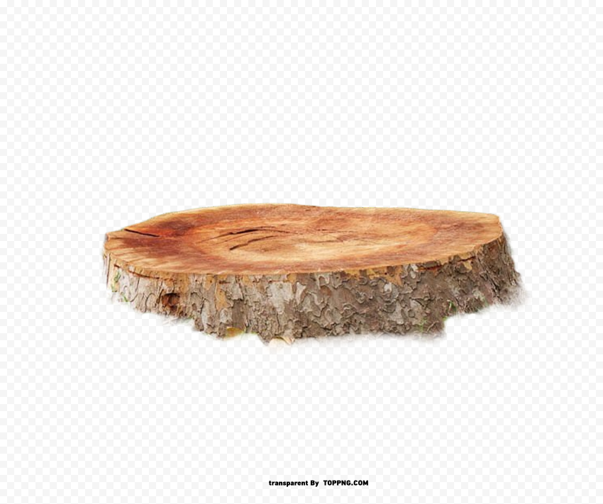 free tree stump clipart png ,Tree stump png,Tree stump png,Tree stumps png,Png tree stump,Tree stump clipart png,Tree stump image png