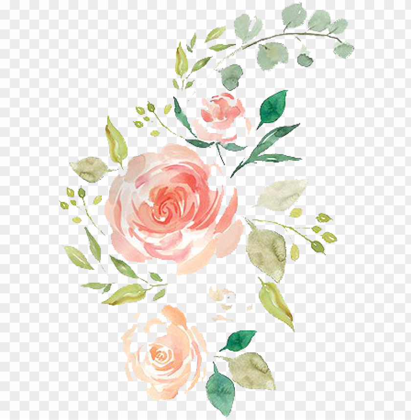 symbol, roses, set, plants, hands, rose, hand drawn