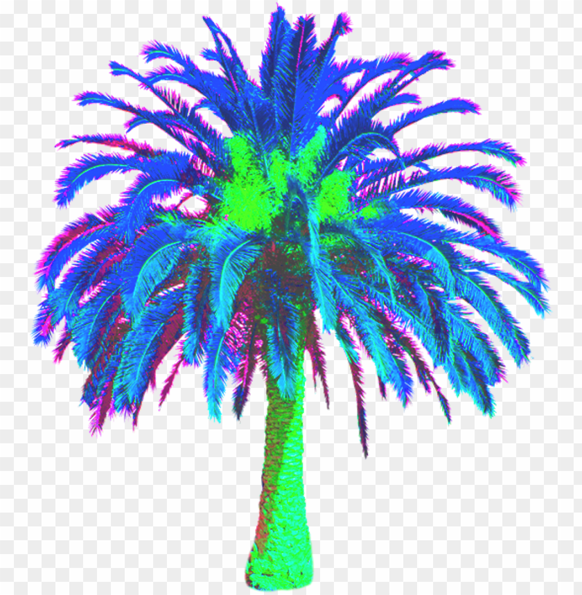 80s, trees, palm tree, flower, wedding, wood, nature