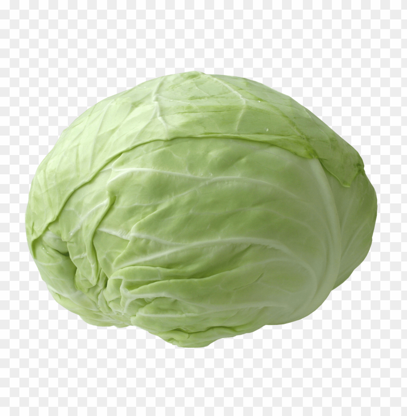 
vegetables
, 
cabbage
