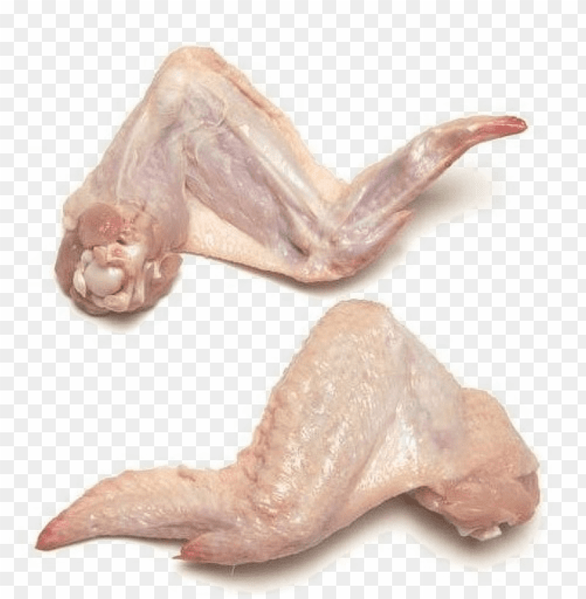 fresh chicken meat png, fresh,chicken,png,chickenmeat