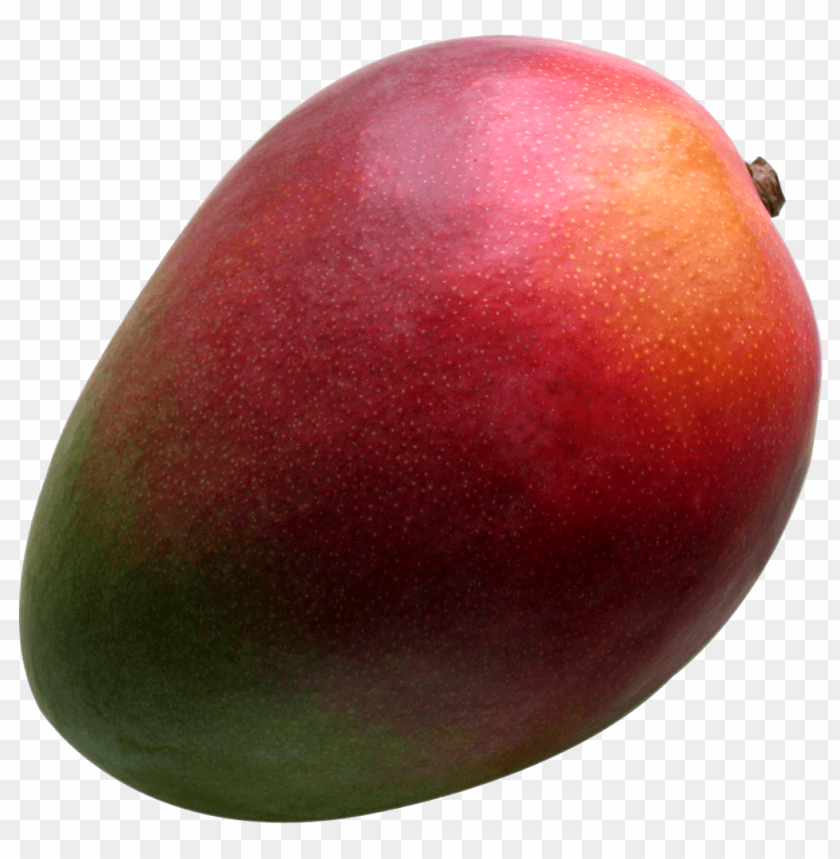 fruits, mango