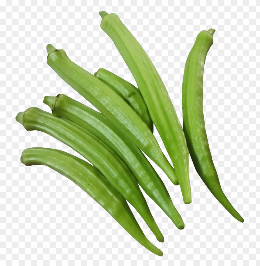 
vegetables
, 
okra
, 
okro
, 
lady finger
, 
ladies fingers
