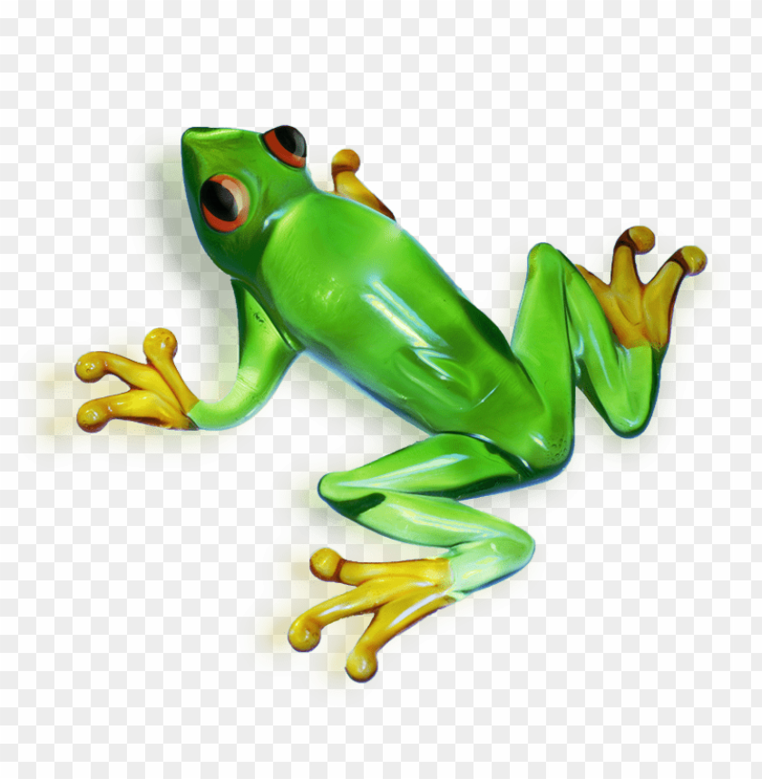 frog png,frog,frog transparent background,frog file png,frog clipart,frog png images,frog png clipart