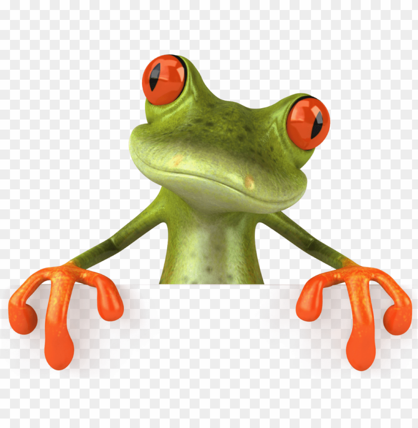 Colorful cartoon frog with big red eyes and orange hands leaning forward PNG