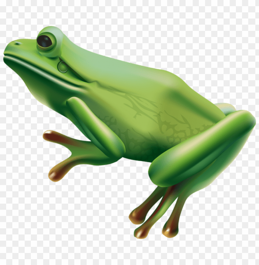 A green frog posed on its hind legs against a transparent background PNG