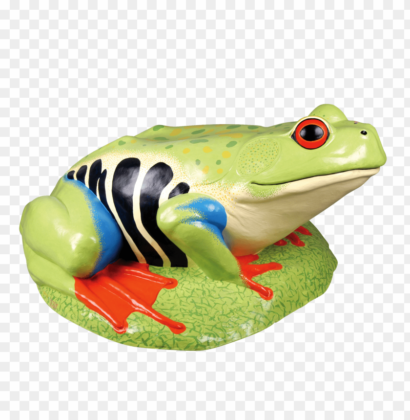 frog png,frog,frog transparent background,frog file png,frog clipart,frog png images,frog png clipart