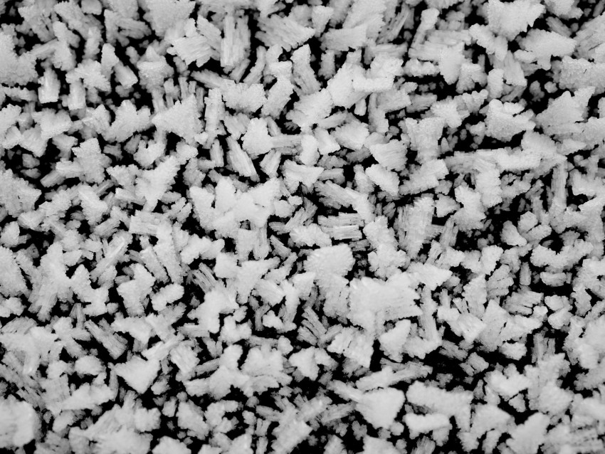 frost, ice, crystals, winter, black and white