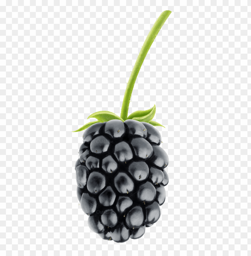 fruit png, fruit,png