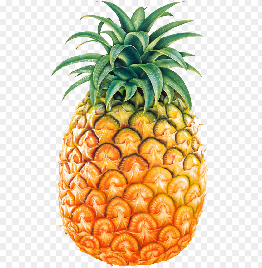 fruit png, fruit,png