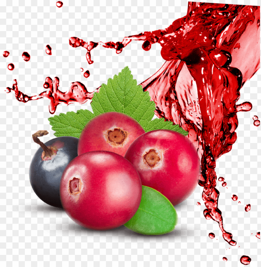 fruit splash png, png,fruit,fruits,splash