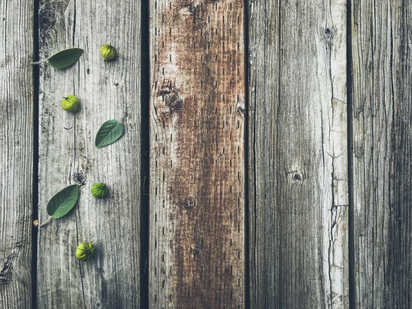 Fruits Leaves Boards Tree Wooden Background