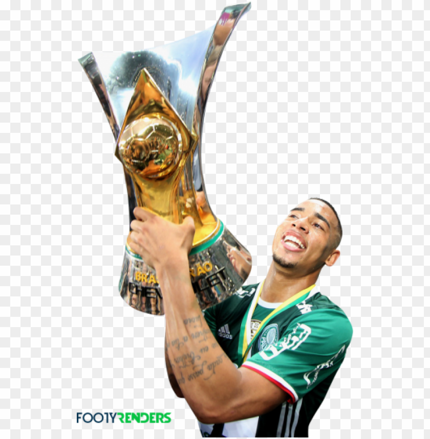 gabriel jesus, brazil, gabriel jesus, palmeiras, fifa ,football ,sport