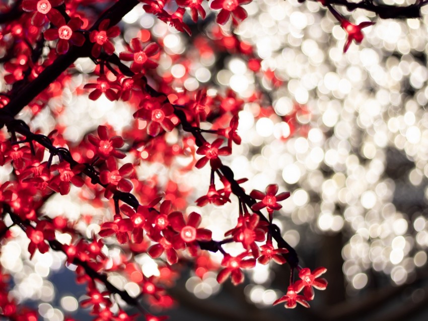 garland, glare, bokeh, flowers