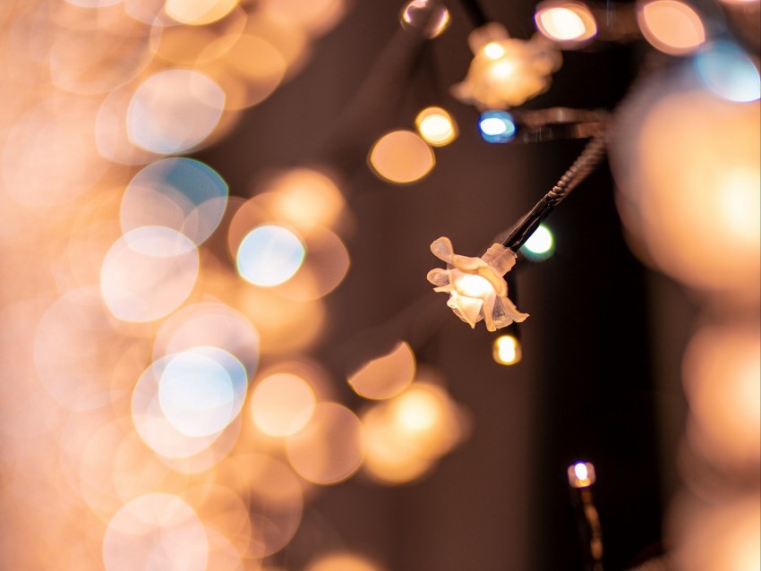 garland, glare, bokeh, lighting, illumination