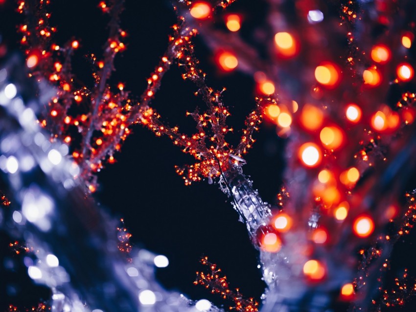 garlands, illumination, lighting, light, glare, bokeh