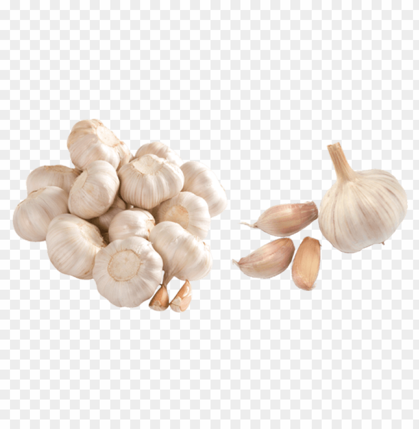 garlic, health benefits, culinary uses, gardening tips, storage methods