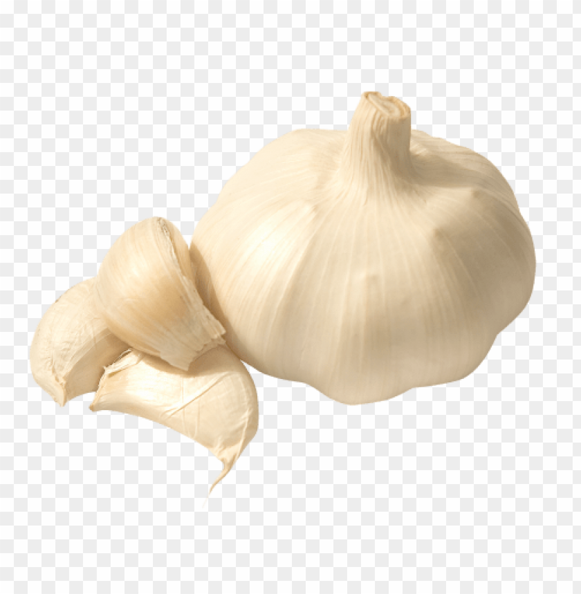 Garlic, health benefits, cooking tips, garlic types, garlic storage