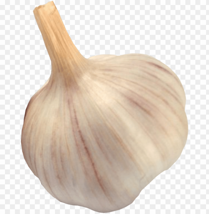 
garlic
, 
white garlic
, 
recepie
