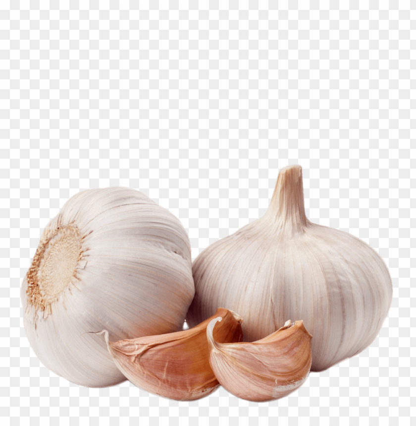 
garlic
, 
white garlic
, 
recepie
