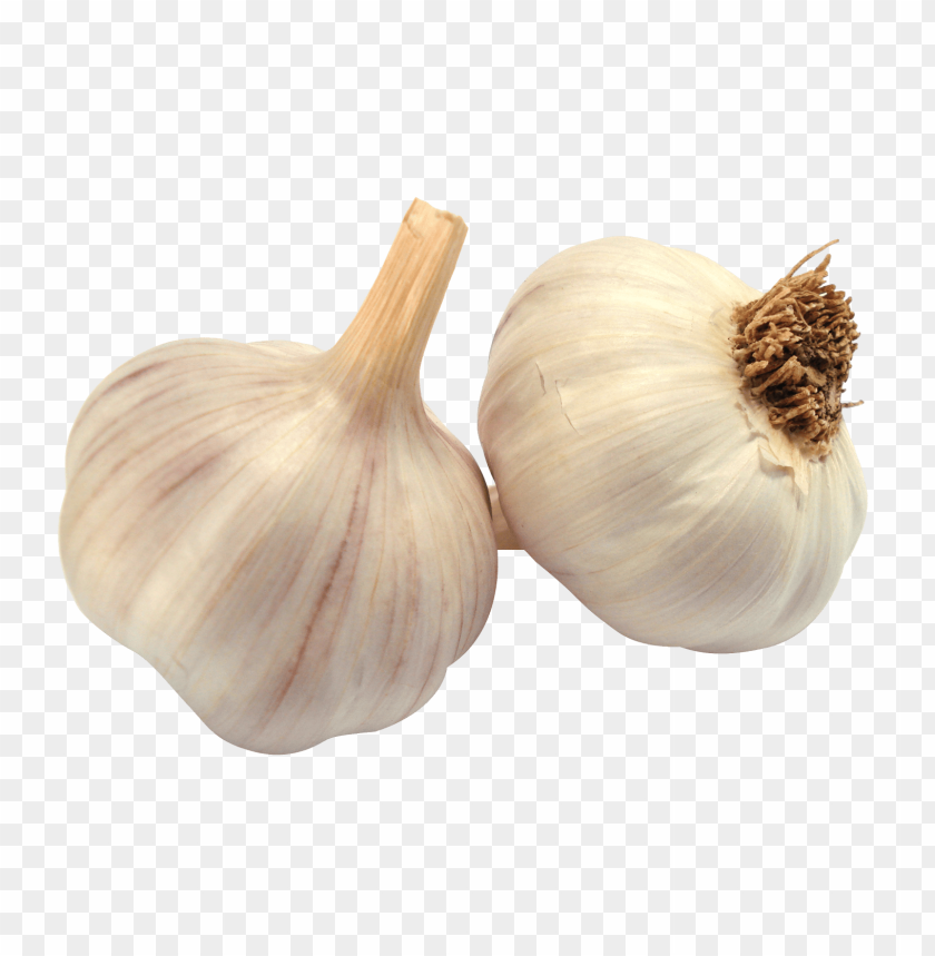 
garlic
, 
white garlic
, 
recepie
