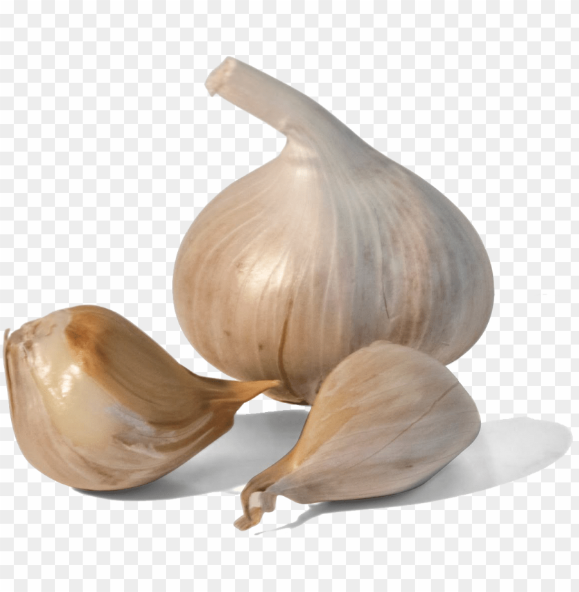 
garlic
, 
white garlic
, 
recepie
