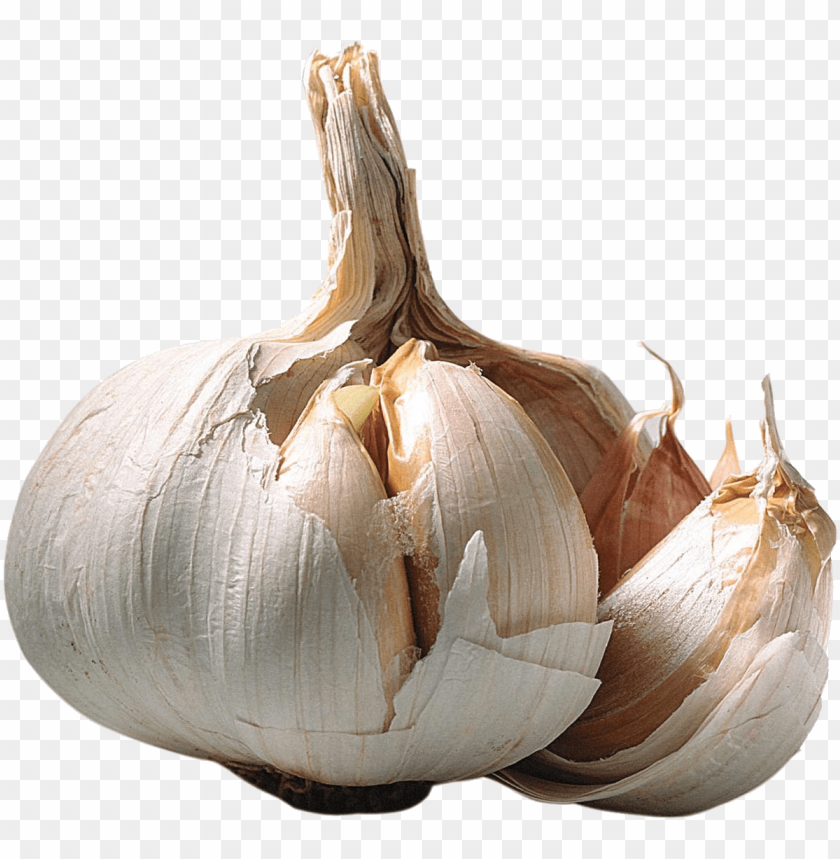 
garlic
, 
white garlic
, 
recepie
