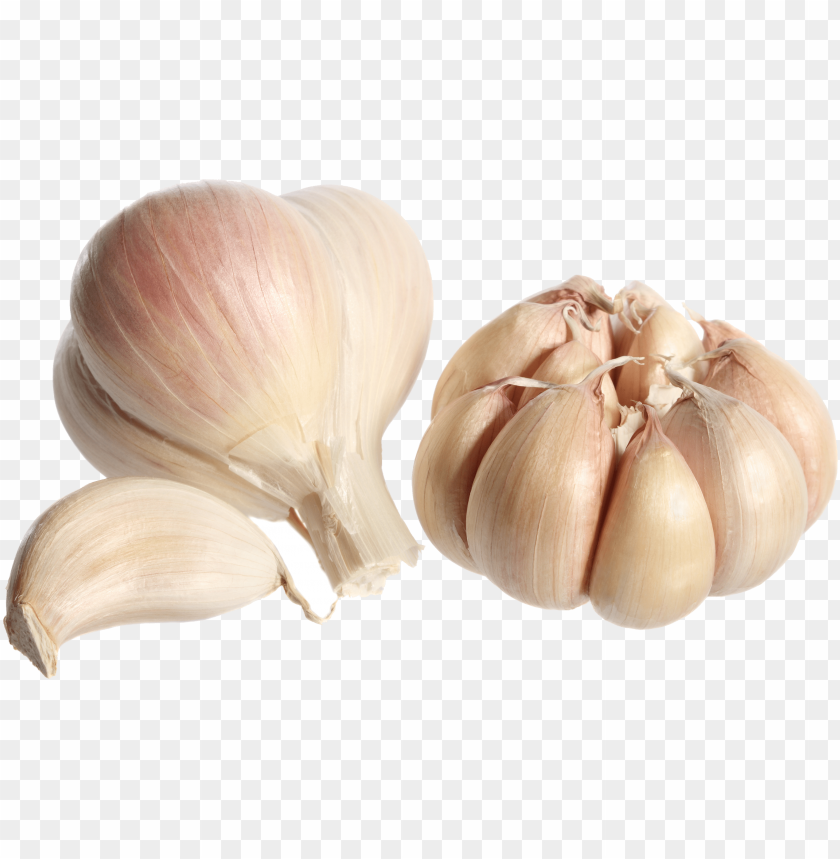 
garlic
, 
white garlic
, 
recepie
