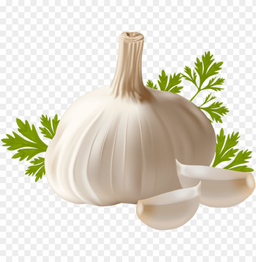 garlic png, png,garlic