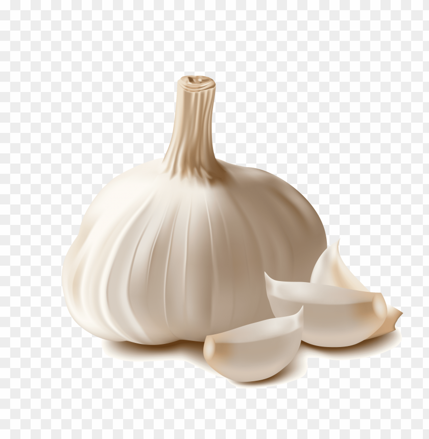 garlic png, png,garlic