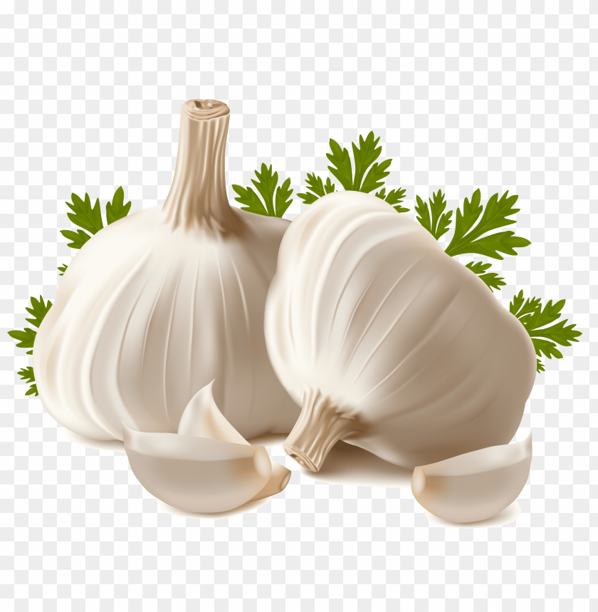 garlic png, png,garlic