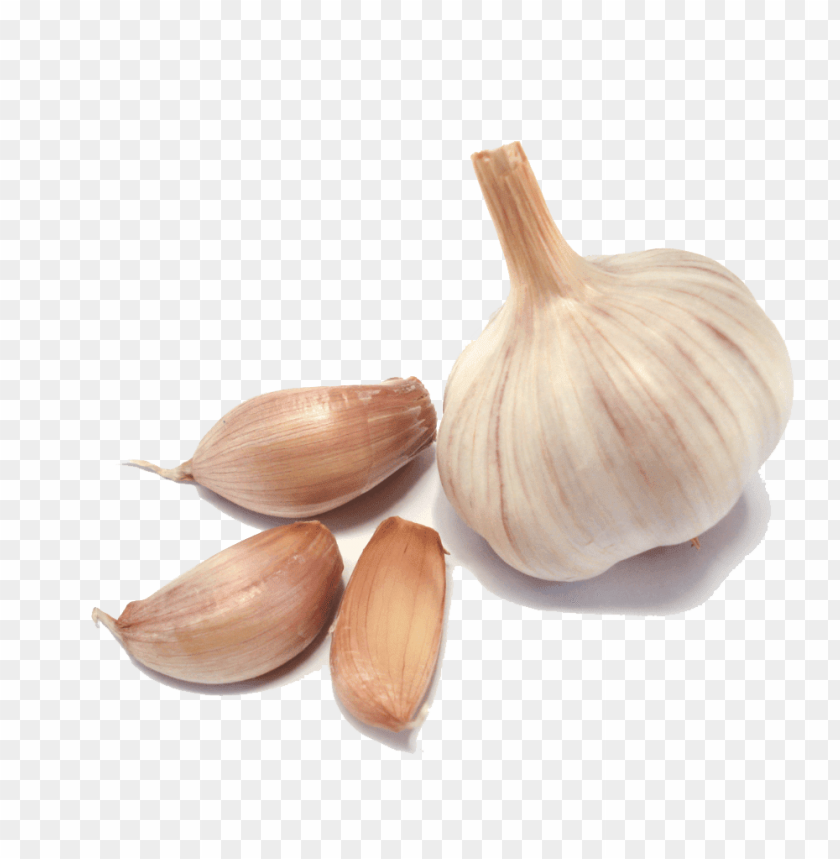 garlic png, png,garlic