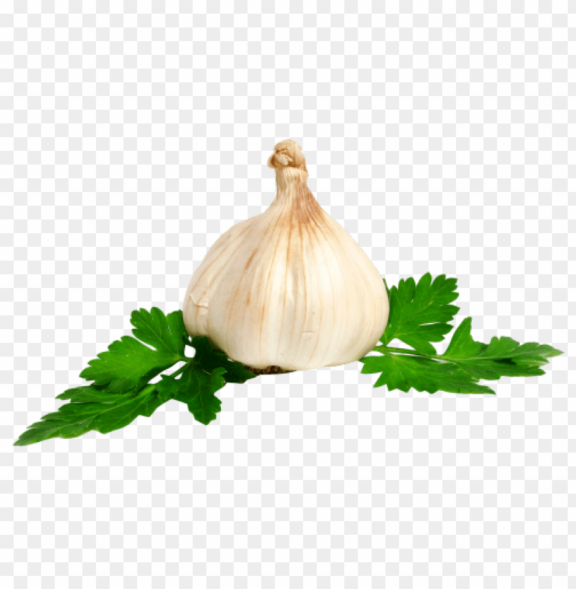 garlic png, png,garlic