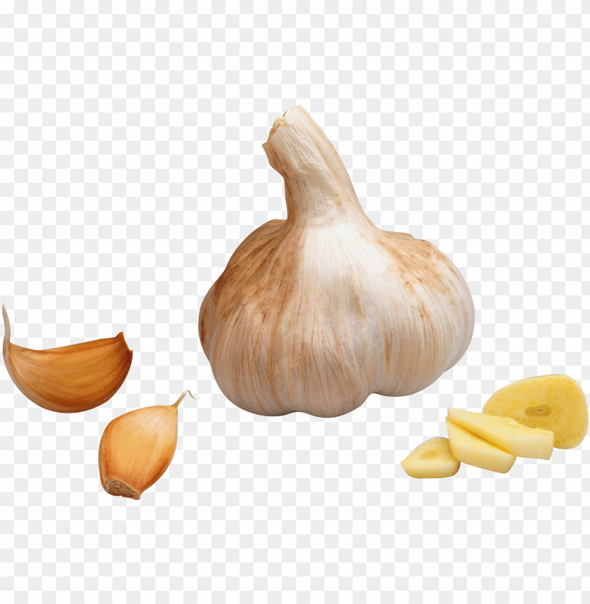 garlic png, png,garlic