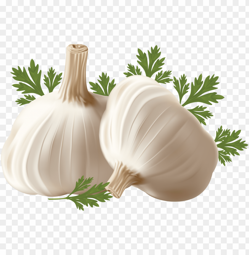 garlic png, png,garlic