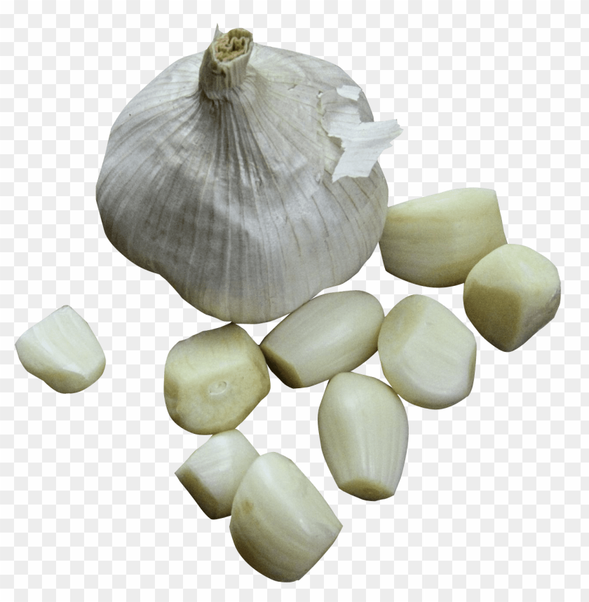 garlic png, png,garlic