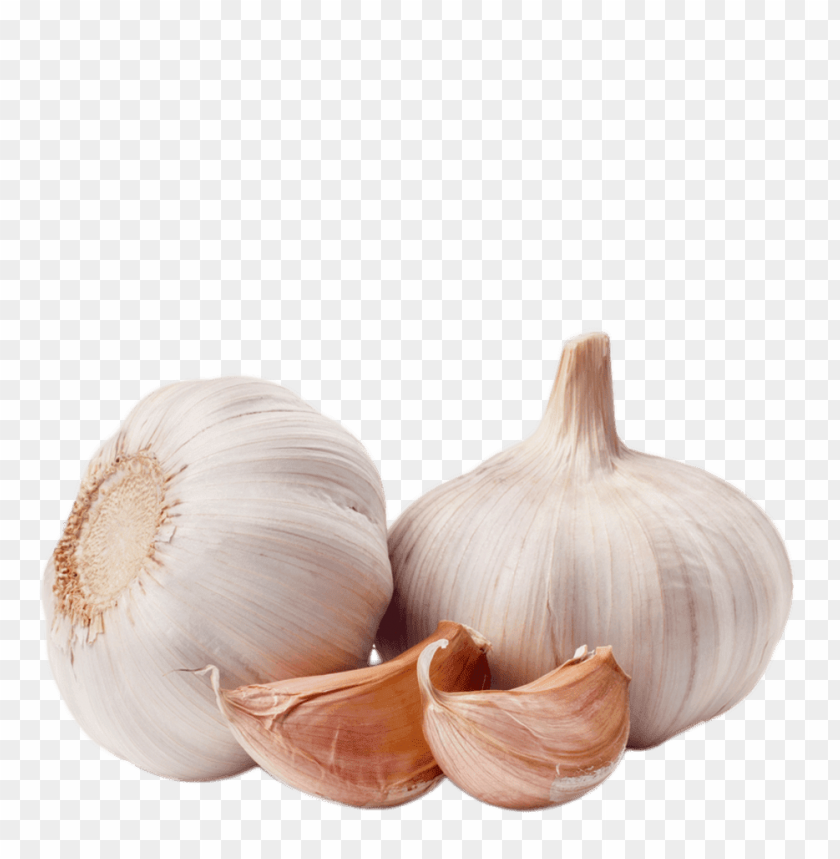 garlic png, png,garlic