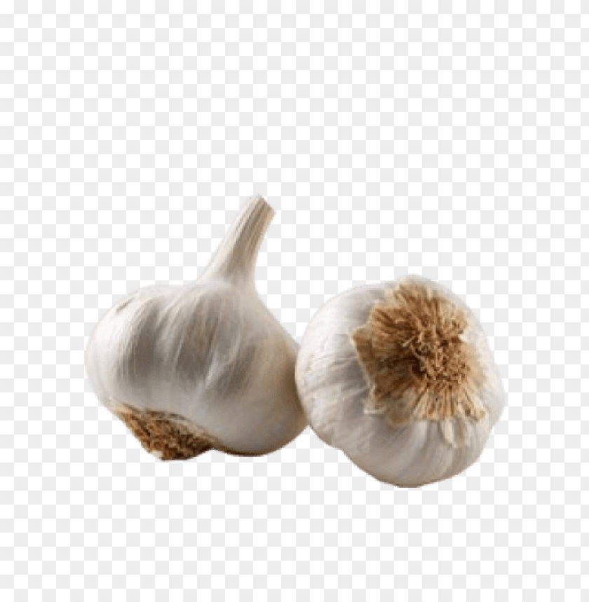 garlic png, png,garlic