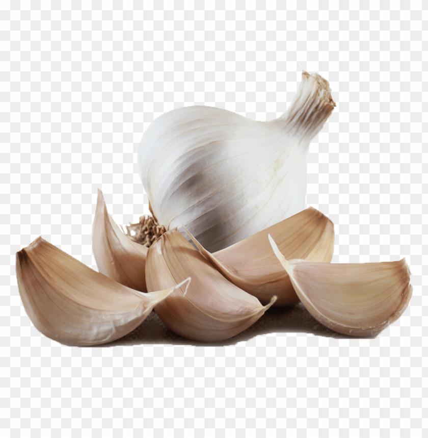 garlic, bulb, cloves, white garlic, vegetable, healthy food, plant-based