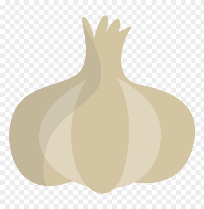 garlic, vegetable, bulb, food ingredient, cooking flavor, allium, raw garlic