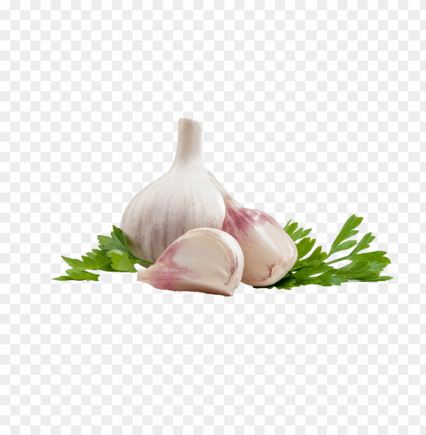 garlic png, png,garlic