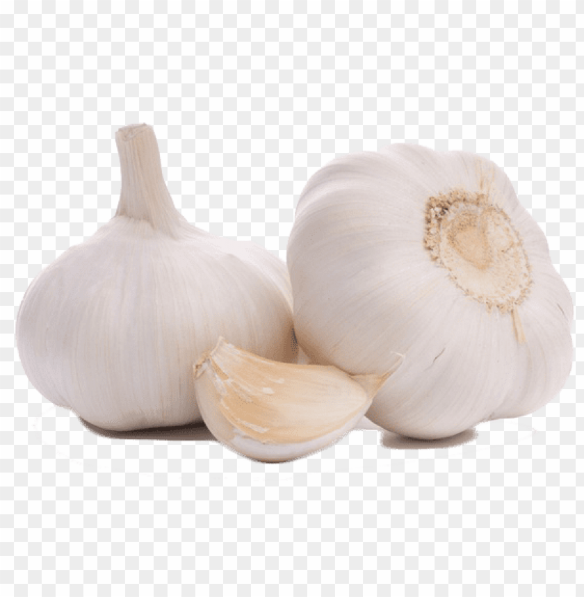 garlic png, png,garlic