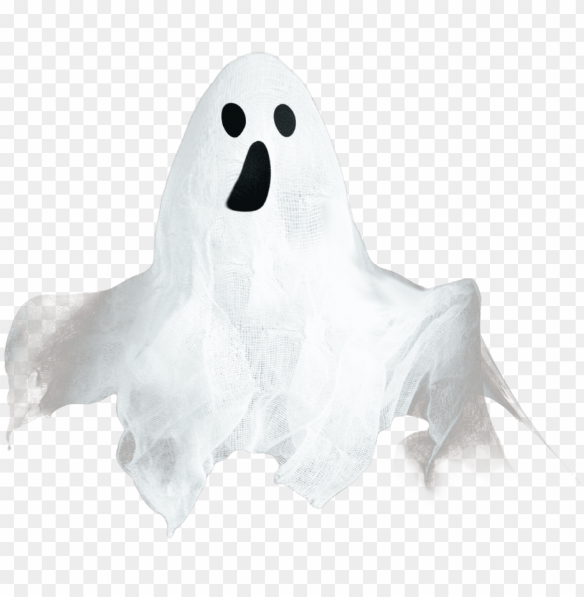 
ghost
, 
haunt
, 
poltergeist
, 
spirit
, 
ghosts
