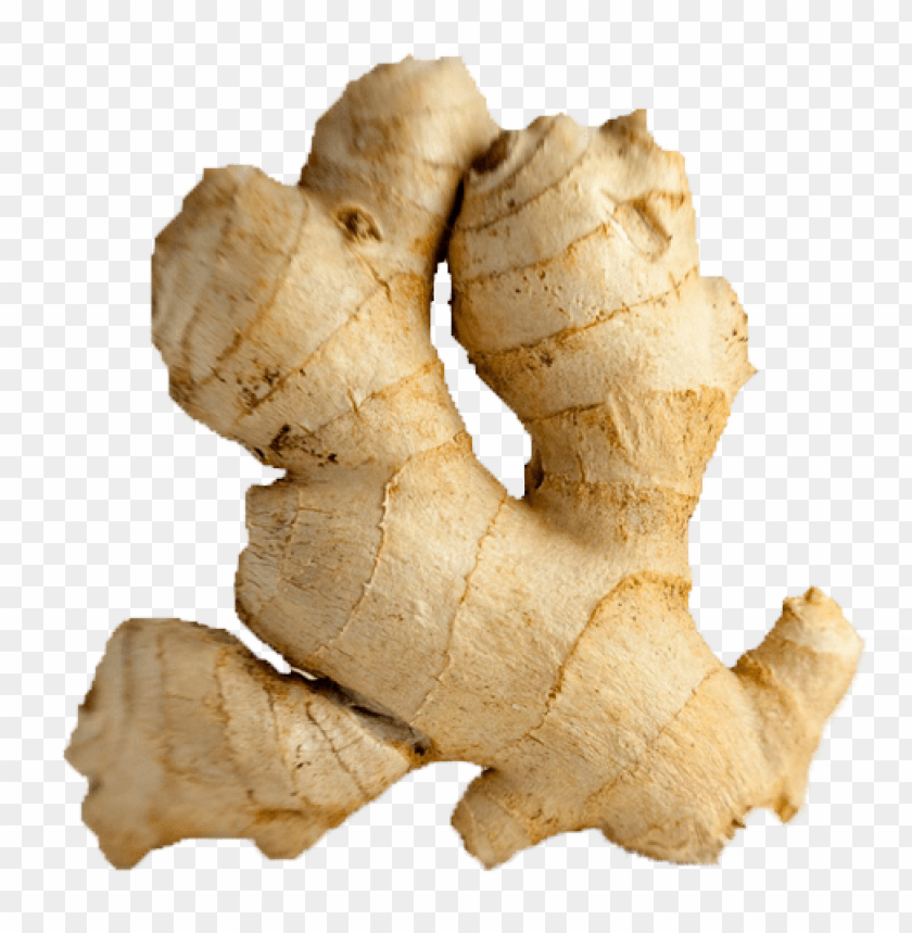 Ginger, Health benefits, Culinary uses, Herbal remedies, Nutritional value