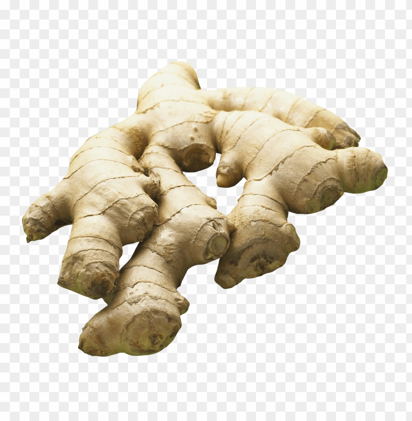 Ginger, health benefits, culinary uses, herbal remedies, sustainable farming