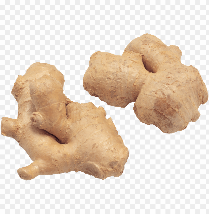 
ginger
, 
hot
, 
asian plant
, 
preserved in syrup
