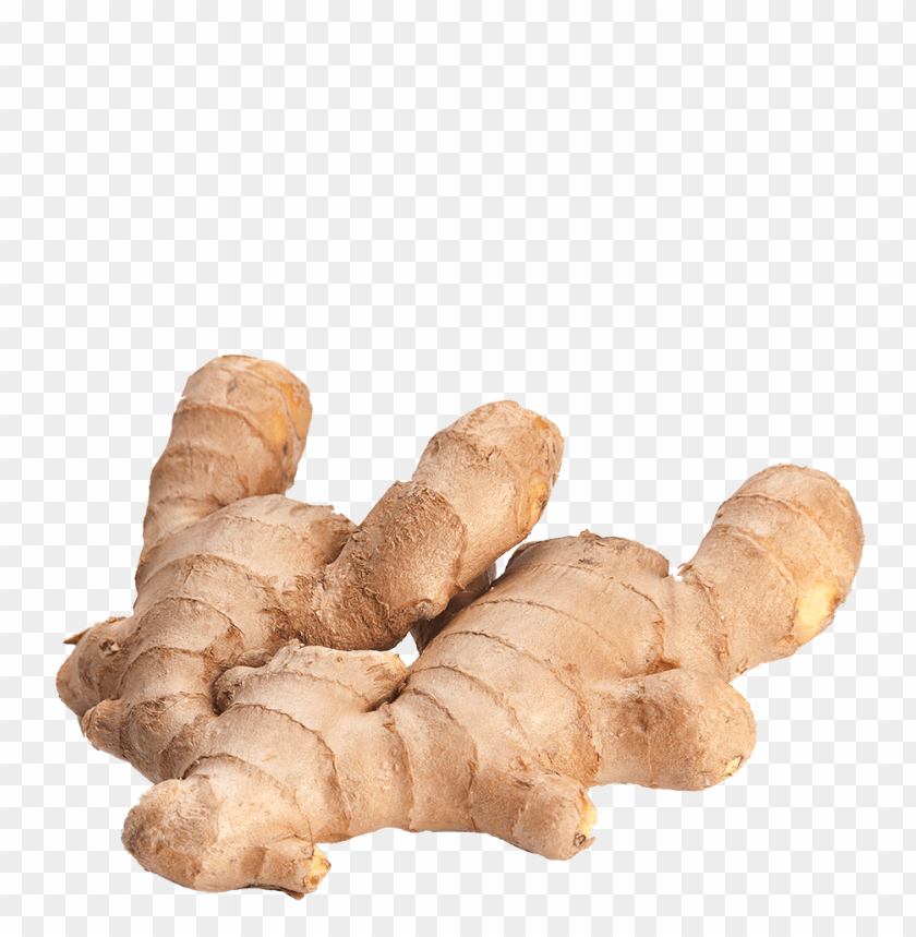 
ginger
, 
hot
, 
asian plant
, 
preserved in syrup
