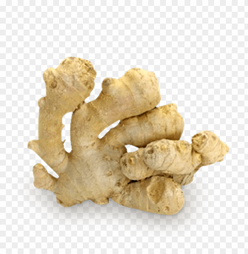 
ginger
, 
hot
, 
asian plant
, 
preserved in syrup
