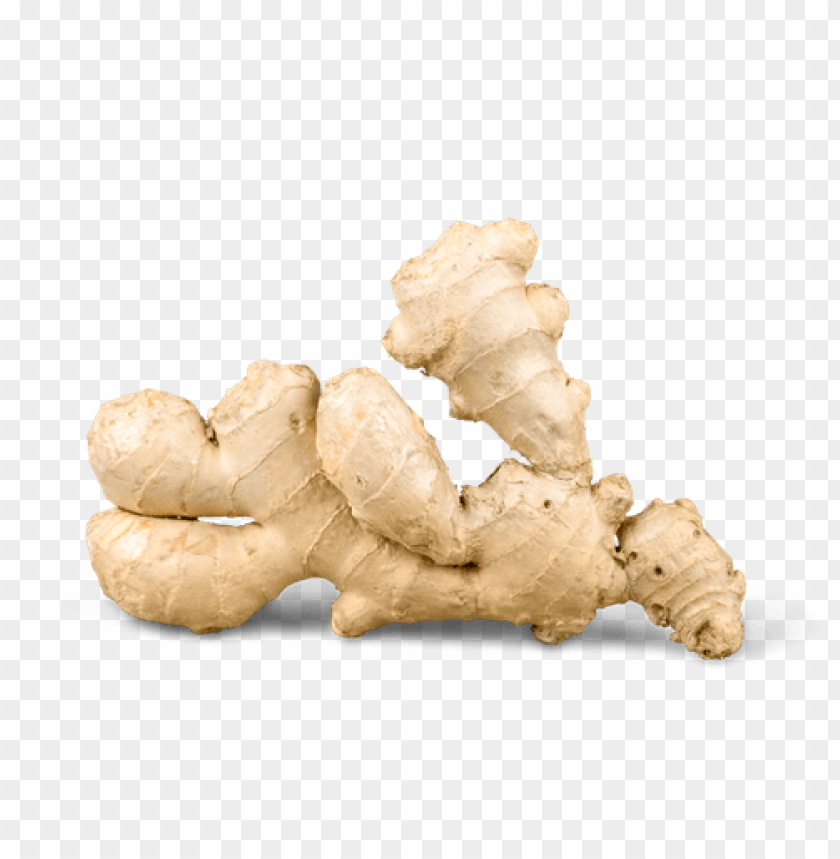 Ginger, Health Benefits, Culinary Uses, Medicinal Properties, Organic Ginger